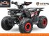 ATV & Quad typu Sonstige Divers Quad 150cc, Neumaschine w Budel (Zdjęcie 4)