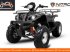 ATV & Quad του τύπου Sonstige Divers Quad 150cc, Neumaschine σε Budel (Φωτογραφία 5)