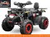 ATV & Quad typu Sonstige Divers Quad 150cc, Neumaschine w Budel (Zdjęcie 7)