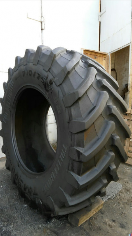 Reifen a típus Trelleborg 710/75R42 TM900,  ekkor: Житомир (Kép 3)