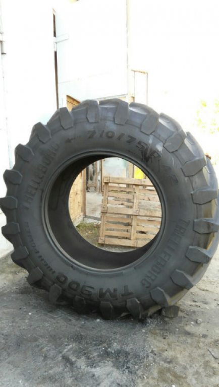 Reifen a típus Trelleborg 710/75R42 TM900,  ekkor: Житомир (Kép 2)