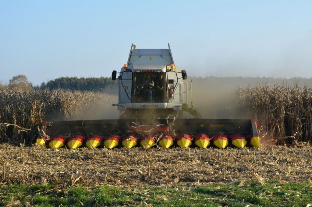 Maispflückvorsatz des Typs Ziegler Corn Champion C12S,  in Київ (Bild 1)