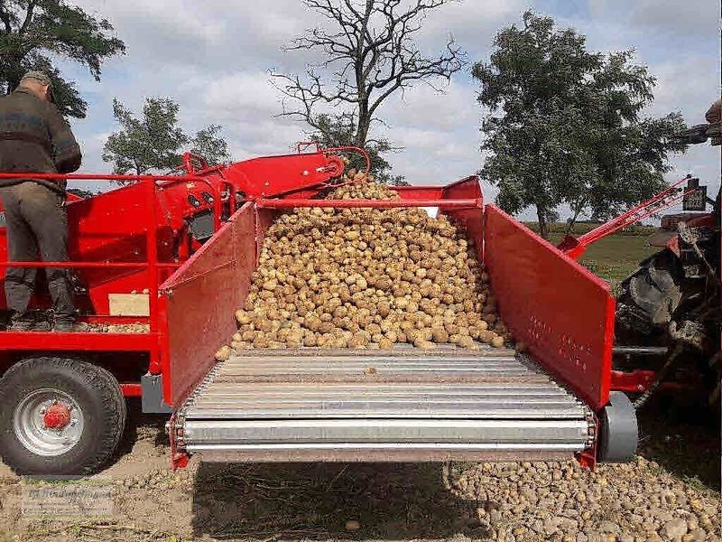 Kartoffelroder van het type Unia Unia Vollernter, Kartoffelroder, Pyra 1600, NEU, Gebrauchtmaschine in Itterbeck (Foto 19)