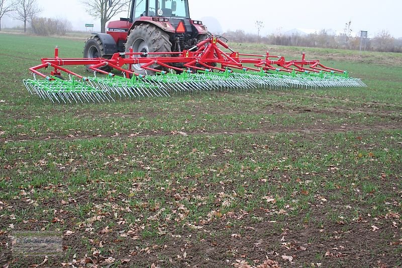 Striegel del tipo Unia Hackstriegel / Saatstriegel, Akcent, 12,00 m, NEU, Neumaschine en Itterbeck (Imagen 21)