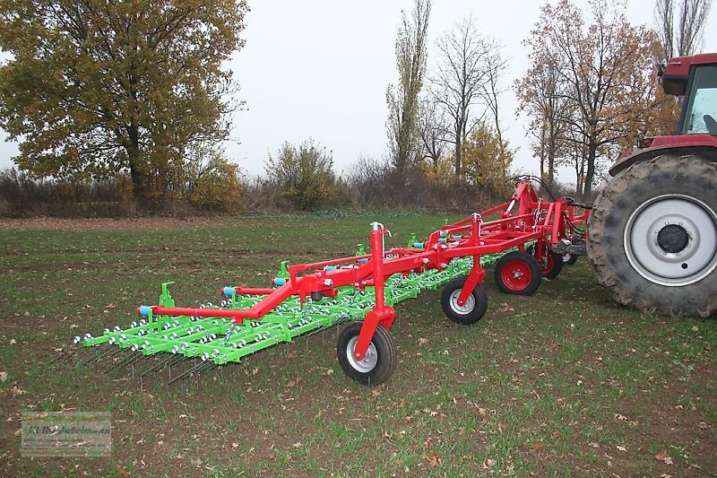 Striegel van het type Unia Hackstriegel / Saatstriegel, Akcent, 12,00 m, NEU, Neumaschine in Itterbeck (Foto 17)