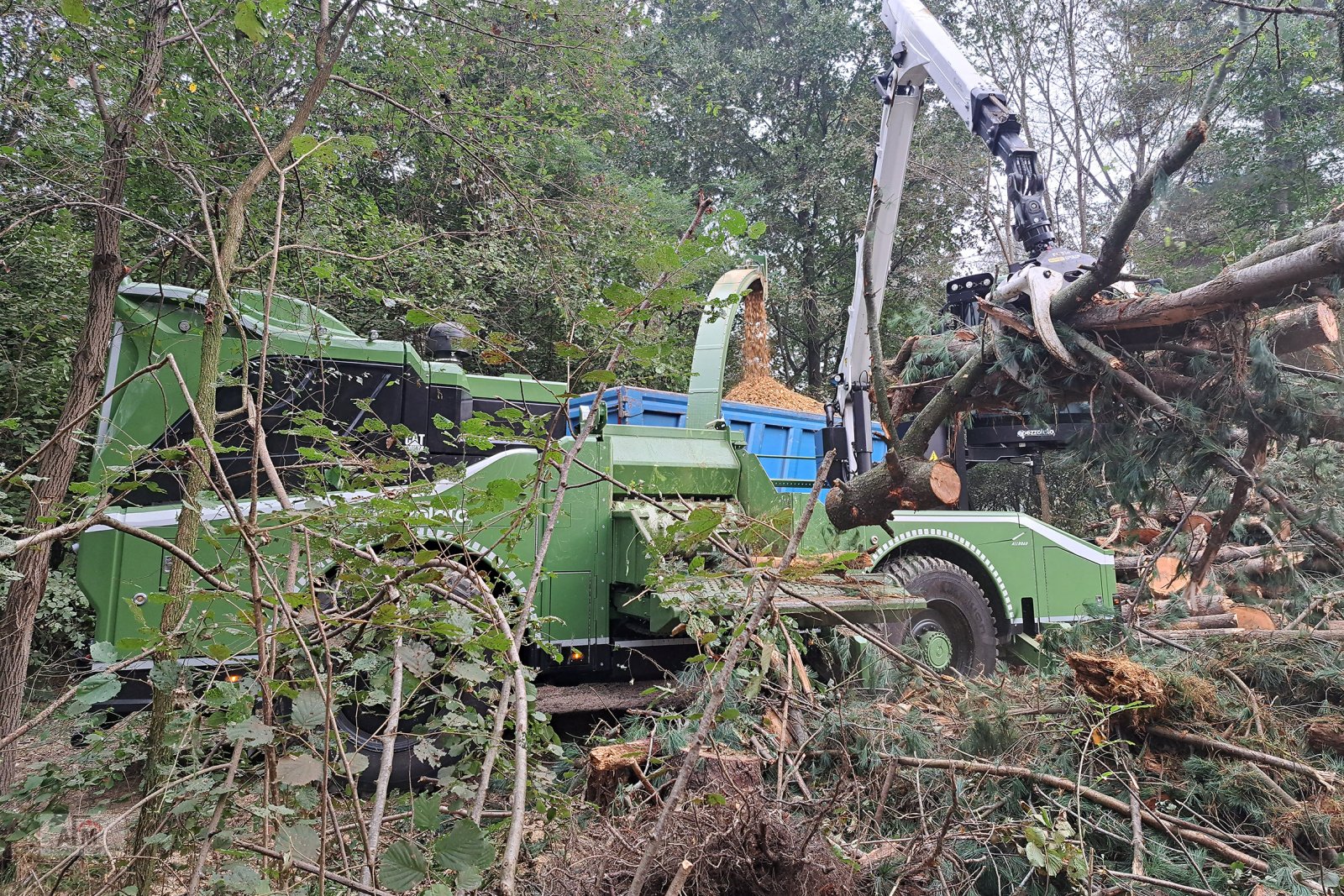 Holzhacker & Holzhäcksler van het type Pezzolato Pezzolato Allroad, Neumaschine in Gotteszell (Foto 2)