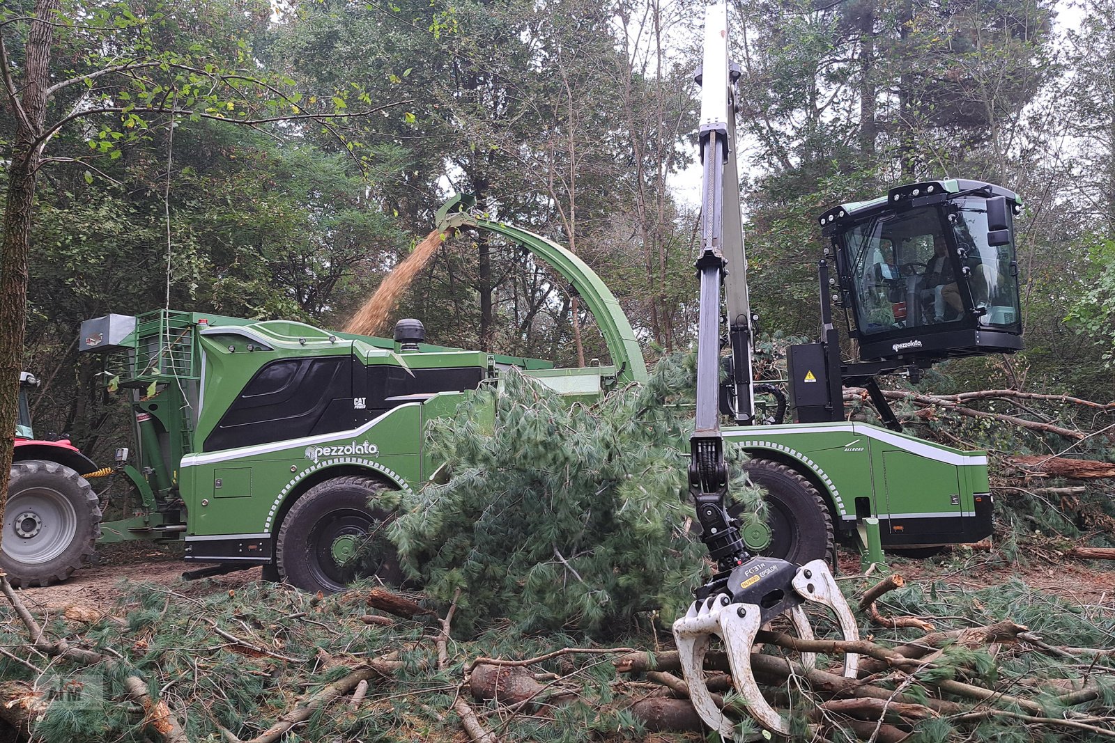 Holzhacker & Holzhäcksler a típus Pezzolato Pezzolato Allroad, Neumaschine ekkor: Gotteszell (Kép 3)