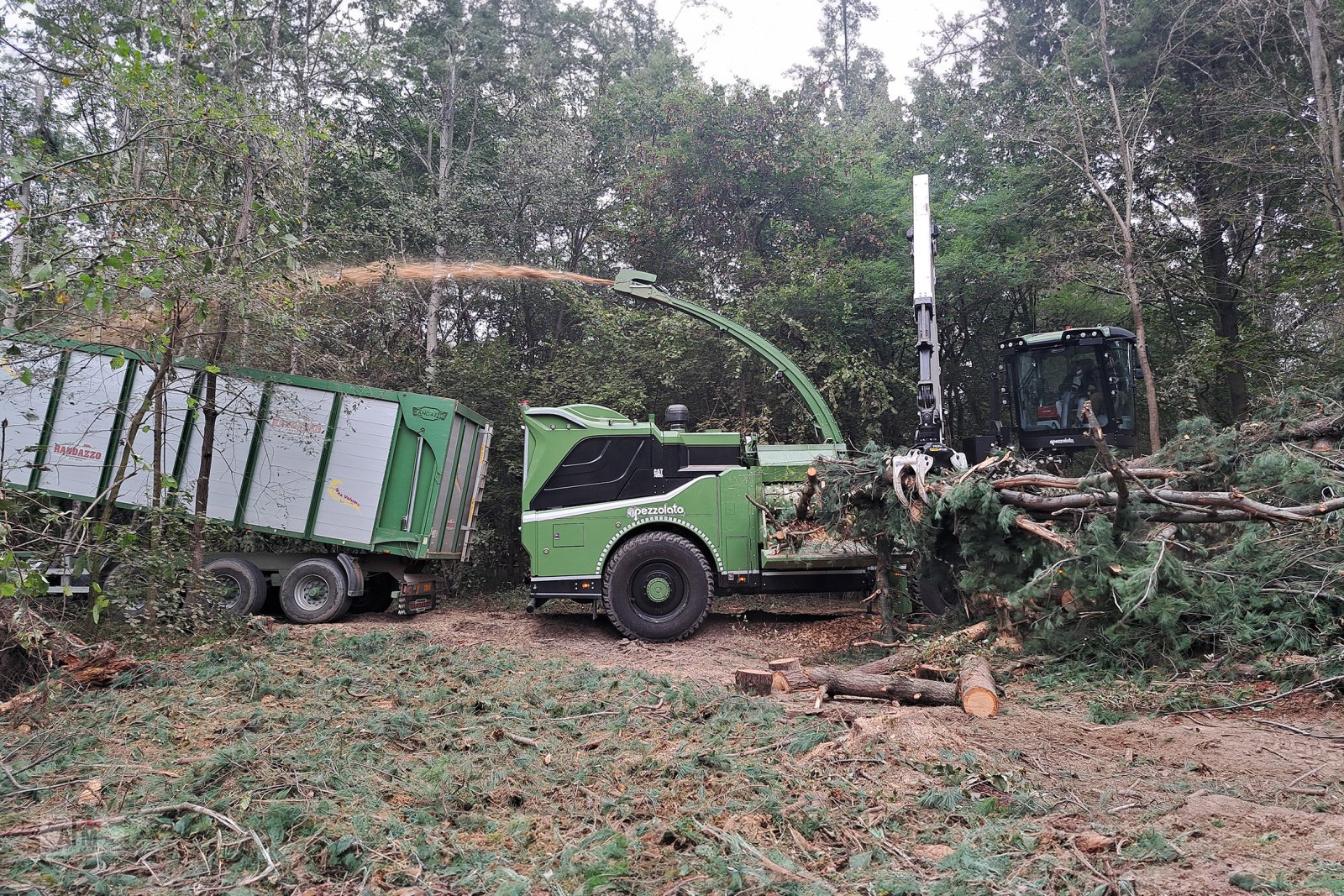 Holzhacker & Holzhäcksler van het type Pezzolato Pezzolato Allroad, Neumaschine in Gotteszell (Foto 4)