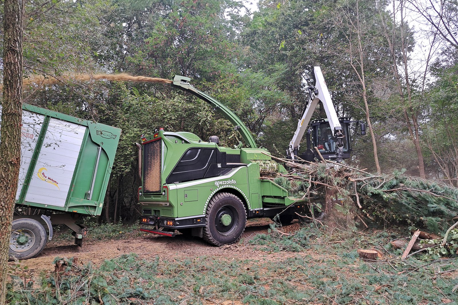 Holzhacker & Holzhäcksler van het type Pezzolato Pezzolato Allroad, Neumaschine in Gotteszell (Foto 5)